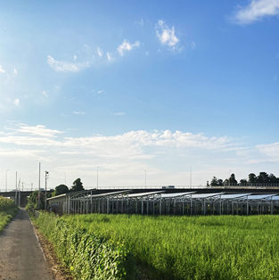일본 태양광 농지 설치 시스템-1MW